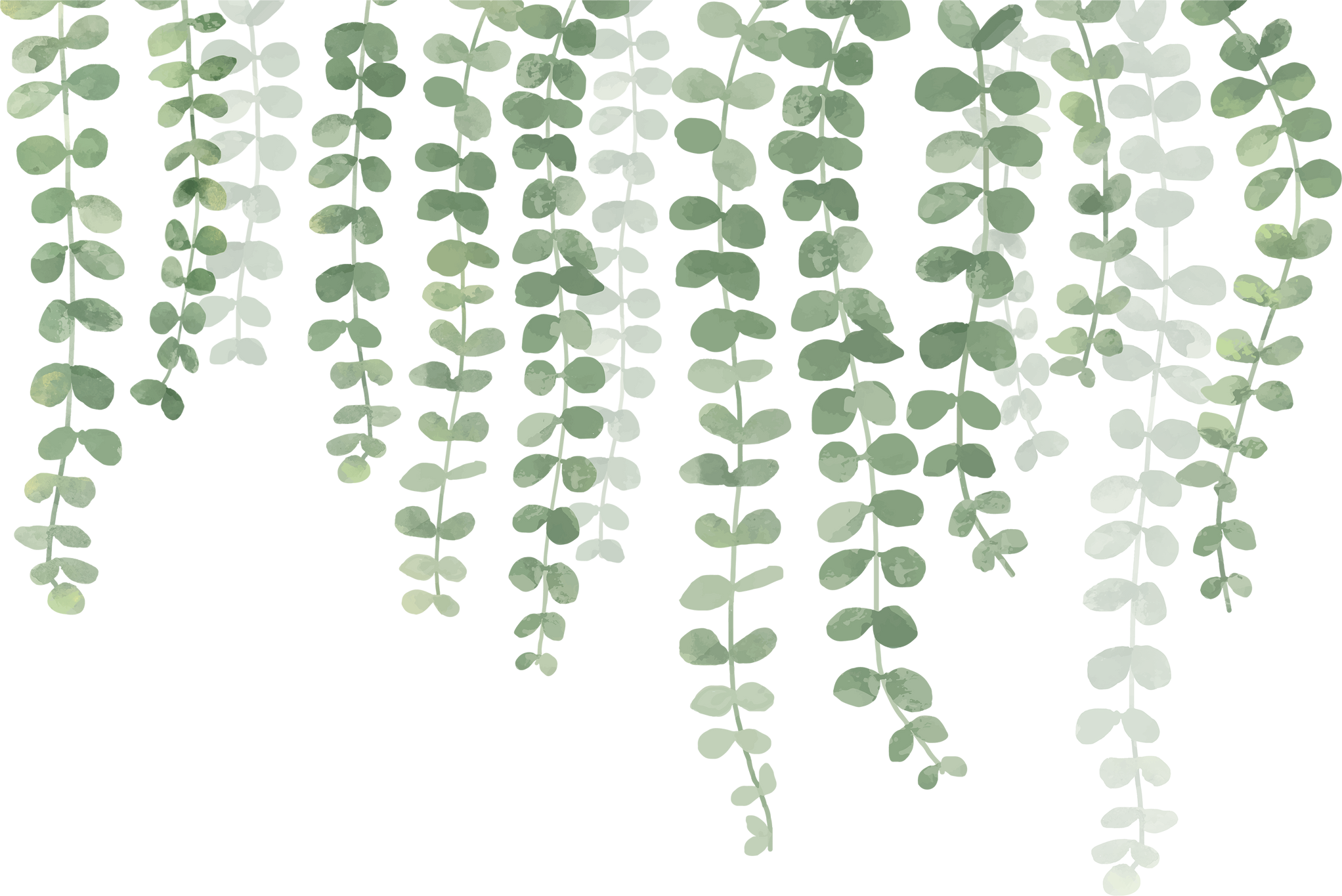 Hanging Plants Watercolor